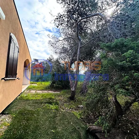 Apartamento Oleandri Platamona